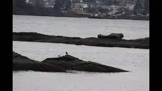 Departure Bay Nanaimo BC
