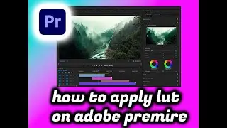 How to Apply LUT on Adobe Premiere Pro: A Step-by-Step Guide to Enhance Your Video Footage