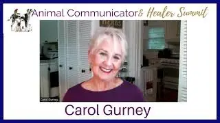 Carol Gurney on the Animal Communicator and Healer Summits
