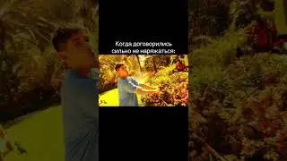 5 ноября 2023 г.