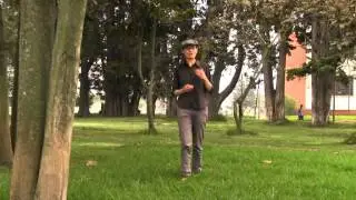 Opinion modelo pedagógico. Profesora Diana M. Farias Camero