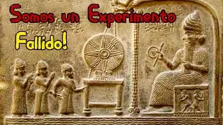 Top 7 Teorías sobre el origen de la Humanidad.