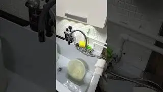 Оголодали)))