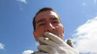 поиск золота в ливадии