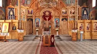 У Ракошинському монастирі сталось диво: зацвіли сухі лілії