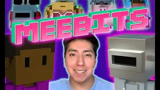 Meebits, One of the most popular NFTs