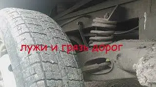 Скрипка лиса