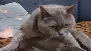 ПРАВДО МИЛАШКА:)
