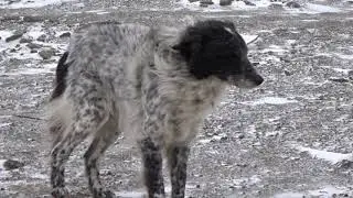 Водохранилище.17.01.2021.