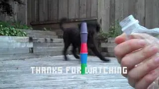 How To Shoot A Bottle Cap - 2 Methods [HD]