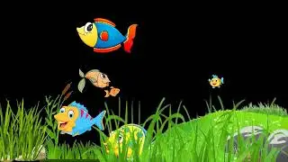Fishes Position  Path Animation