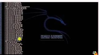 Kali Linux Tools - DNSrecon