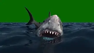 New green screen blue whale