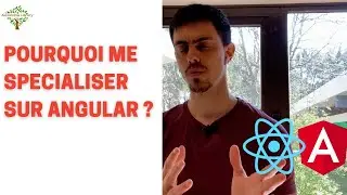 Pourquoi j’ai choisi de me spécialiser sur Angular (pari gagnant)