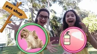 Transformamos a garagem em um pet shop !!!