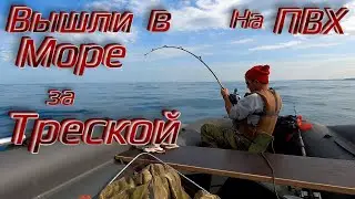 GOING TO SEA ON A PVC BOAT FOR COD! COD FISHING IN THE BARENTS SEA ON THE KOLA PENINSULA