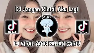 DJ KAMU SUNGGUH TERLALU JANGAN CINTAI AKU LAGI JANGAN SAYANGI AKU LAGI VIRAL TIK TOK TERBARU!