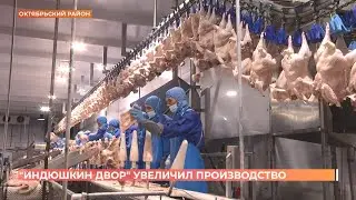 Компания 