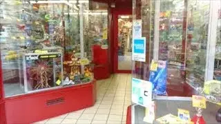 Visit To Wonderland Models, Edinburgh