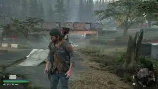 Days Gone Horde 2
