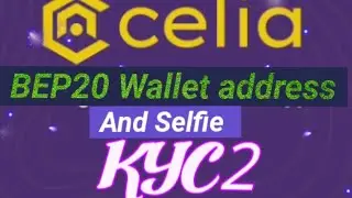 Celia KYC 2 Ful Method/Add BEP20 wallet address and selfie to Celia