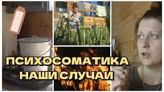 ПСИХОСОМАТИКА / НАШИ СЛУЧАИ/ БАННО-ПОСТИРОЧНЫЙ ДЕНЬ / ВЛОГ /ИРИНА МАТВЕЙ