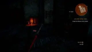 The Witcher 3 invisible siri ???