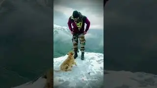Fouji. 🤍❣️. #armylover #army #dog #doglover