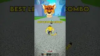 Best Leopard Combo 