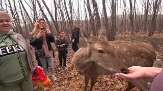 Весенний поход в Приморский Сафари-парк 2024 г.