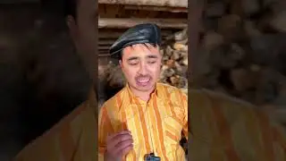 TALABA ZOTI PASHSHADAY EZILIYKANDA!😂
