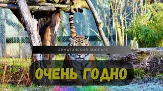 Зоопарк Алматы | Лучшее место для отдыха #зоопаркалматы