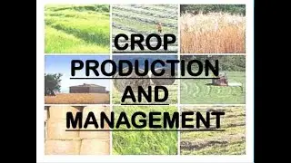 Crop Production Part-1