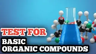 Tests for basic organic compounds | Chemistry Experiment theory
