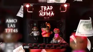 Crazy Point - Amo las T3TAS (Audio Oficial)