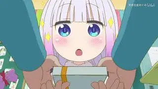 Renal Circulation Kanna Version