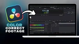How to Color Correct Footage in DaVinci Resolve in SECONDS!