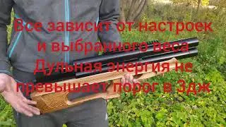 Пневматическая винтовка Серия М 