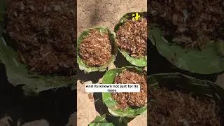 Odisha’s Unique Red Ant Chutney Receives GI Tag, Here’s How Locals Make It 