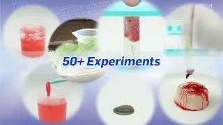 WILD! Science WS090XL Test Tube Chemistry Lab