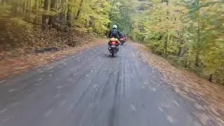 Fall Colours 2021