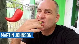 HOW WE LEARNED TO EAT SPICY FOOD