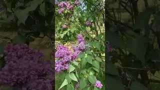 Обязательно сюда сходите! тгк: Велька из Питера✨ #питер