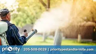 Priority Pest & Termite WebAdz