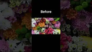 Instant Color Pop || Photoshop Trick for Beginners in 60 Sec || Quick Tutorial Shorts || #shorts
