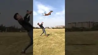 Удивительные трюки собак😉👍