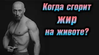 Жир на животе не уходит... Почему? Когда уйдёт?