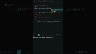 Python 3 | Raising Custom Errors 