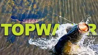 Unbelievable Topwater Fishing: Epic Surface Strikes Captured!