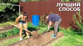 How to protect garden beds from moles